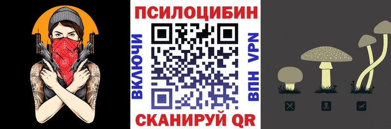 Псилоцибиновые грибы Psilocybine cubensis  Купить где  Вольск 
